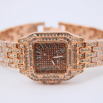 Diamond Stone Watch